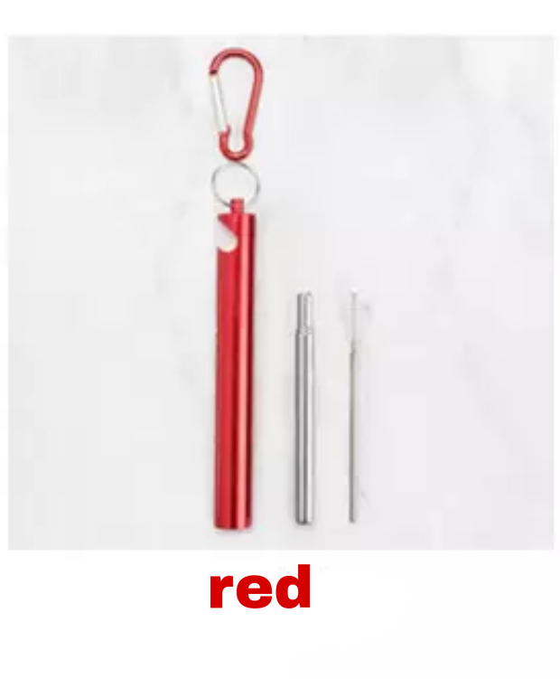 Eco-Friendly Collapsible drinking Straw with Bottle Opener Case, Cleaner Brush, Keychain
