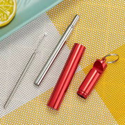Eco-Friendly Collapsible drinking Straw with Bottle Opener Case, Cleaner Brush, Keychain